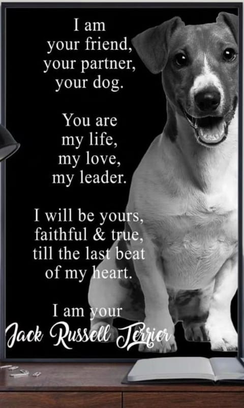 Mono DD CHECKIN A RICHIESTA Apartment in Emilia-Romagna