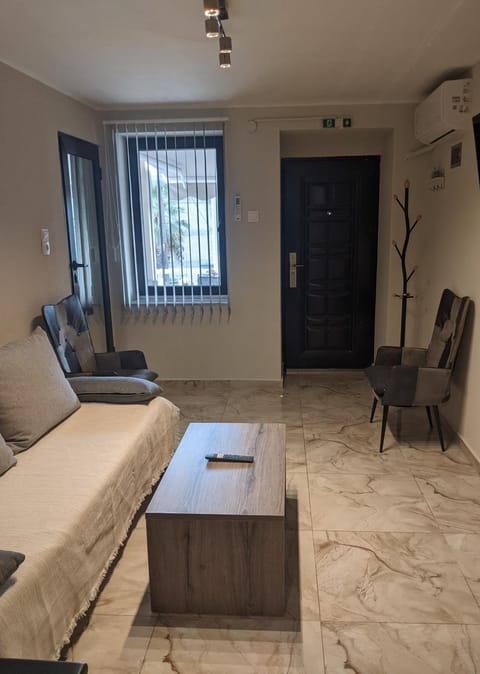 Living room, Photo of the whole room, Seating area, air conditioner