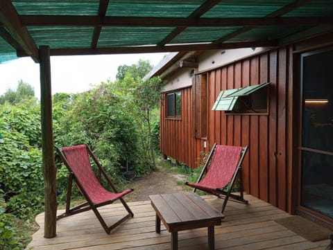 Patio, Garden, sunbed