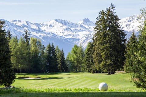Nearby landmark, Neighbourhood, Summer, Golfcourse, Golfcourse