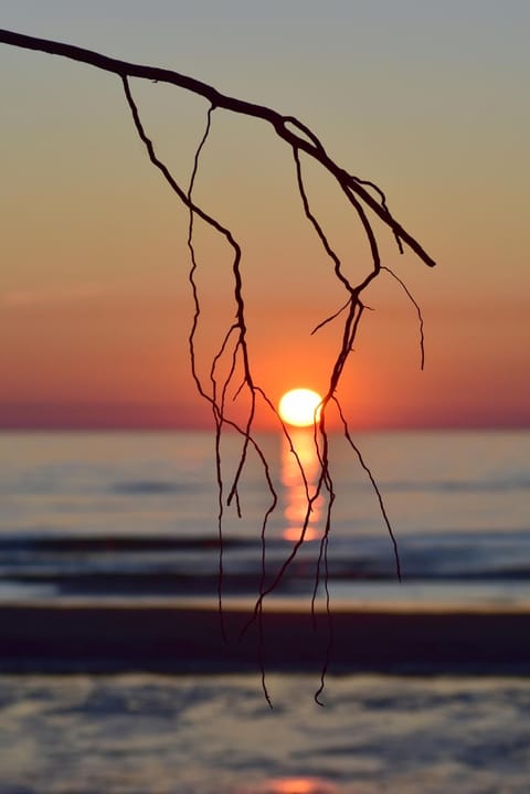Beach, Sunset