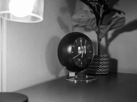 19th Century 'Cleveland Double' - Walk To Beach Apartment in Cleveland Heights