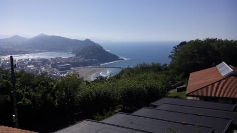 Bird's eye view, View (from property/room), City view, Area and facilities