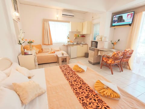 Communal lounge/ TV room, Bed, TV and multimedia, Living room, Photo of the whole room, Seating area, Bedroom, air conditioner