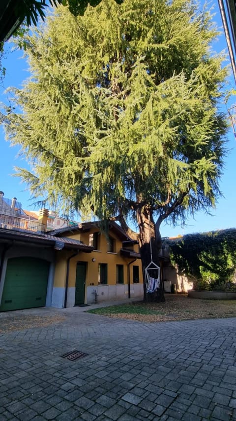 Property building, Garden, Inner courtyard view