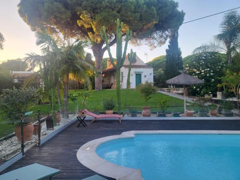 Pool view, Swimming pool