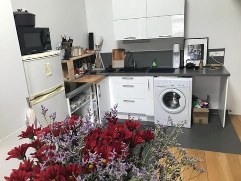 Kitchen or kitchenette, minibar, washing machine