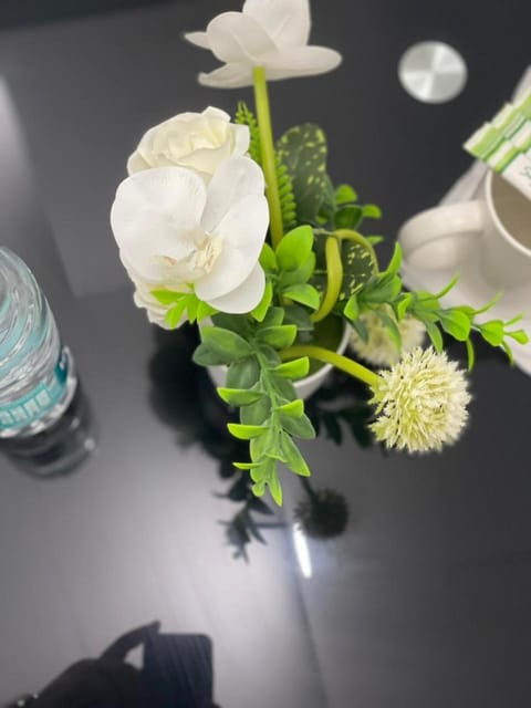 Amazing Sea View Stay Abu Dhabi Hostel in Abu Dhabi