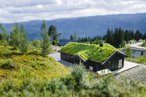 Property building, Natural landscape, Mountain view