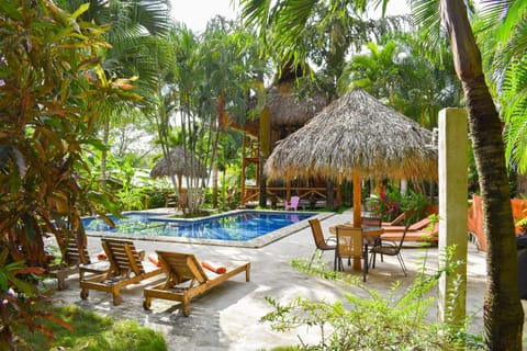 Day, Garden, TV and multimedia, Coffee/tea facilities, View (from property/room), Other, Garden view, Pool view, Swimming pool, Swimming pool, sunbed