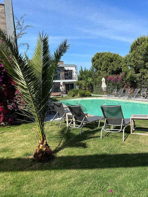 Spring, Day, Natural landscape, Garden, Garden view, Pool view, Swimming pool, sunbed