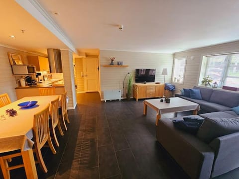 Communal lounge/ TV room, TV and multimedia, Kitchen or kitchenette, Living room, Seating area, Dining area