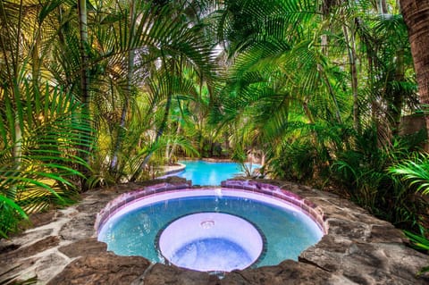 It's a Jungle Out There House in Holmes Beach