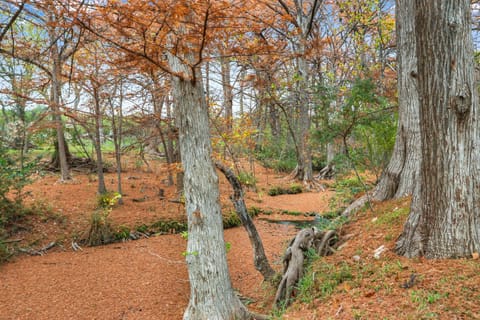 Cypress Moon House in Wimberley
