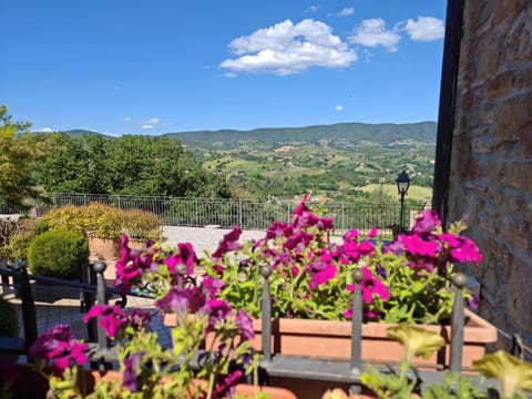 View (from property/room)