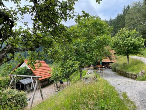 Schmalzerhisli Apartment in Ortenau