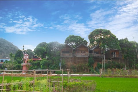 Natural landscape