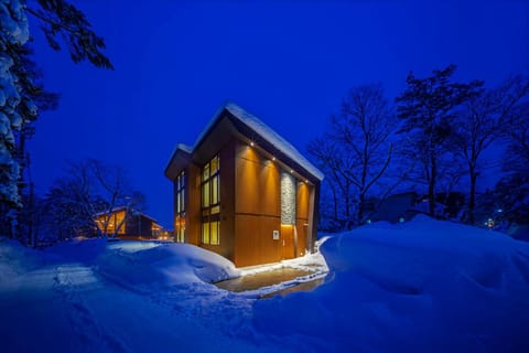 Property building, Night, Natural landscape, Winter