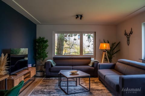 TV and multimedia, Living room, Seating area, hair dresser