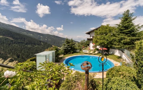 Natural landscape, Summer, Garden, Swimming pool, Swimming pool, sunbed