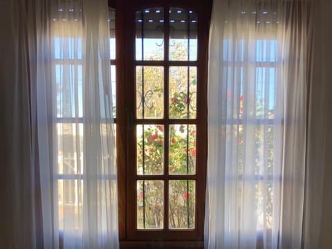 Garden view