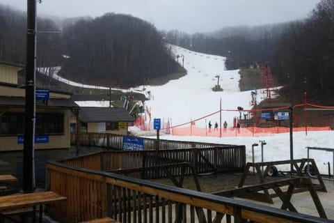 The Pine Knot Cabin Cabin in Pittman Center