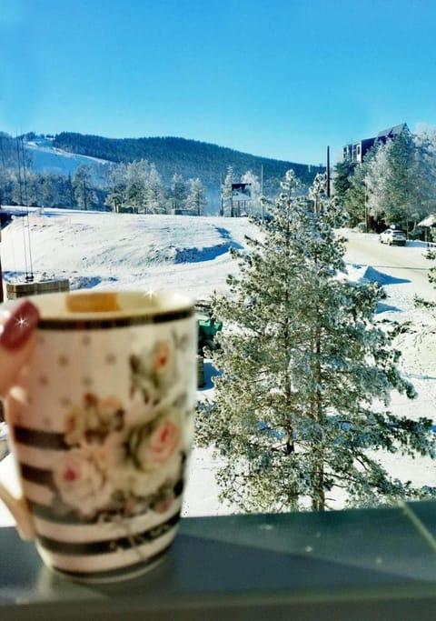 Natural landscape, Winter, View (from property/room), Balcony/Terrace, Mountain view