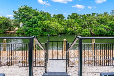 Salty Seagull at Hunter's Point House in Cortez