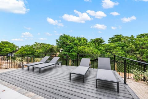 Salty Seagull at Hunter's Point House in Cortez