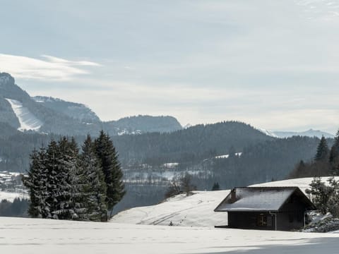 Appartement 2 pièces 4 pers terrasse parking Les Carroz d'Arâches - FR-1-572-293 Apartment in Arâches-la-Frasse