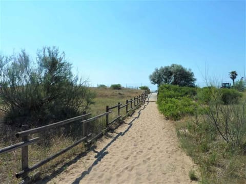 Nearby landmark, Beach