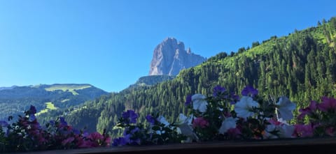 Property building, Mountain view