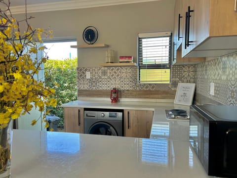 Kitchen or kitchenette, minibar, stove, washing machine