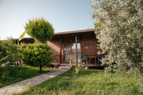 Property building, Natural landscape, Garden view