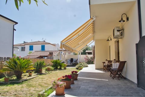 Spring, Garden, Garden view