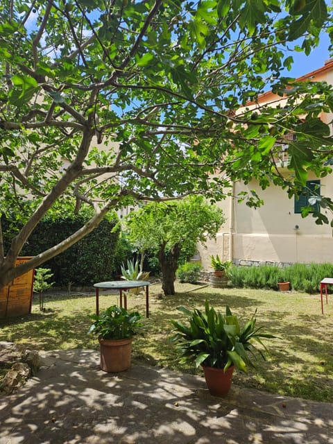 Spring, Day, Natural landscape, Garden, Garden, Garden view