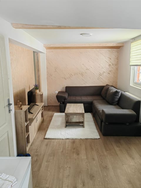 Apartman Zoric Apartment in Zlatibor