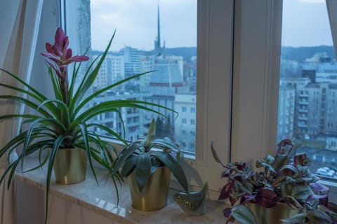 Property building, Other, Photo of the whole room, Bedroom, City view, Street view