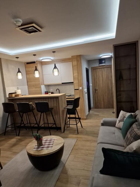 Apartman 318 - Sunčana Planina Apartment in Serbia