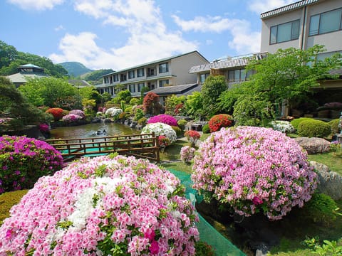 Property building, Garden view