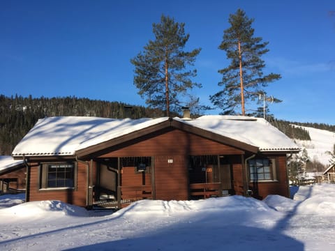 Property building, Day, Winter