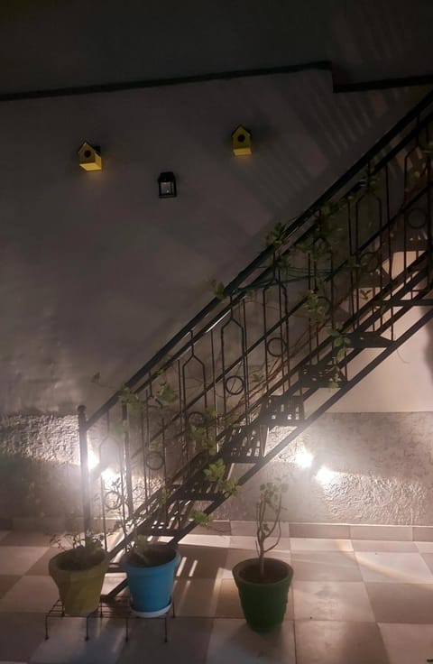 Night, Balcony/Terrace