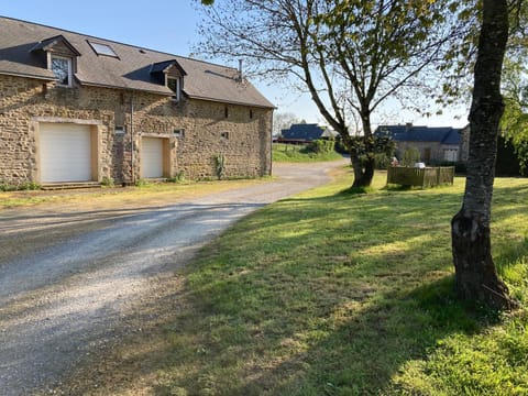 Spring, Neighbourhood, Natural landscape, Street view