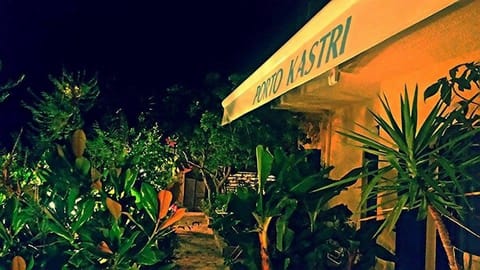 Night, Garden view