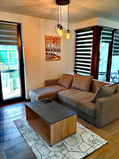 Borovi 3, apartman 3 Apartment in Zlatibor District, Serbia