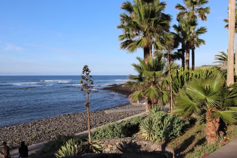 Natural landscape, Beach