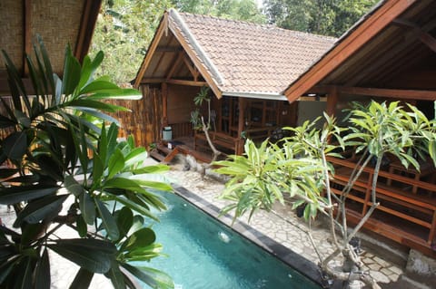 Day, Pool view, Swimming pool