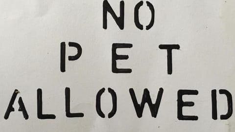 Simple apartment 1 Number 146 c Apartment in Kuta