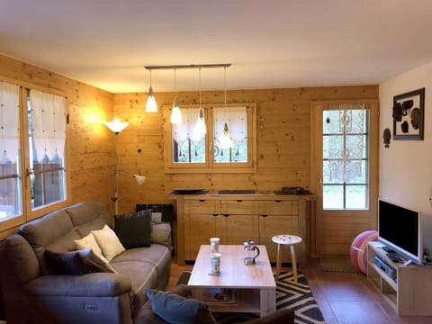 Apartments Vieux Chalet Apartment in Canton of Valais