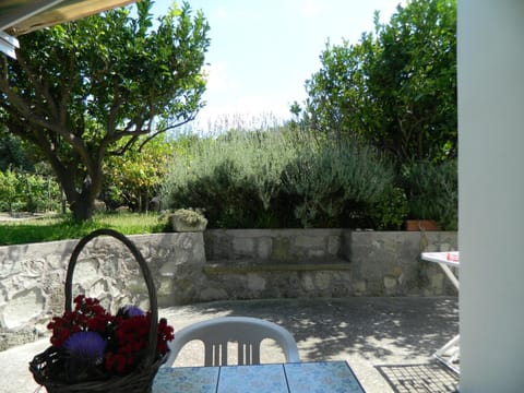 Garden, Balcony/Terrace, Garden view